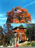 Old Family Picture Book 021.jpg